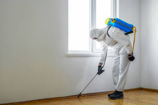 Best Residential Pest Control  in Breckenridge, MI